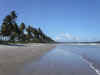 beach3.JPG (81887 bytes)