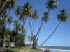 beach.JPG (134487 bytes)